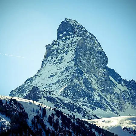 Shalimar * Zermatt